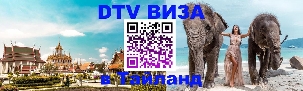 Оформление DTV визы под ключ: стоимость и тарифы, только загранпаспорт - 